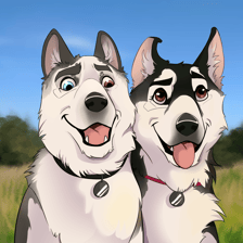 huskyboris