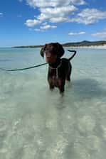 Ayrathedobie