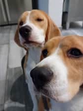 Mazeandmarley