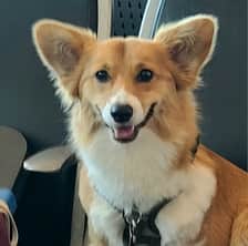 Edithtinylegs