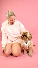molly_lloyd_the_cockapoo