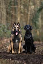 lunaticandbo