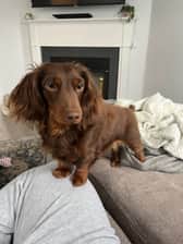 Weenieboyalfie