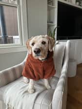 Winston_dadoodle