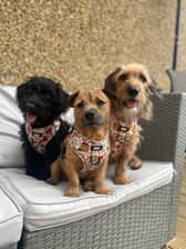 Brian.sootsie.lyla