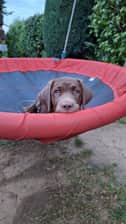bruno_labrabaer