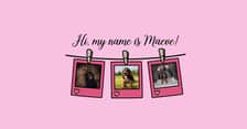 maeve_thecockerspaniel23