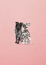 Winnie_and_Wellington