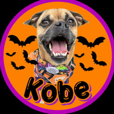 kobethejug
