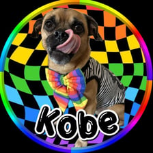 kobethejug