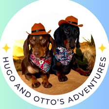 hugo_and_ottos_adventures