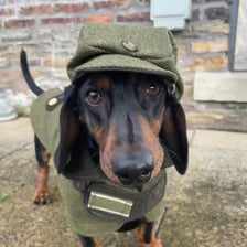 _richmond_sausage_
