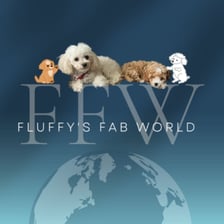 Fluffys Fab World