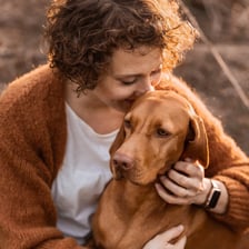 Vizsla.Tales