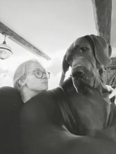 The Developer and The Dane