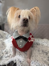 Rufus