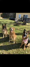 Sasha, Hunter & Leo