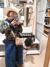 assistancedog_ahsoka