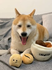 inuharu0317