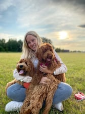 labradoodles_sammie_mikkie