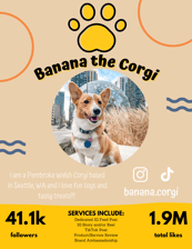 banana.corgi