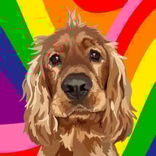 arlo_thecockerspan (TT)