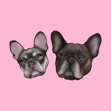 littlefrenchiesisters