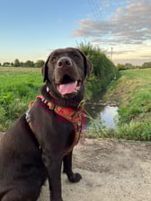 Poppyandlilahsadventures