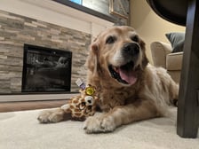 coopersplacepetsitter