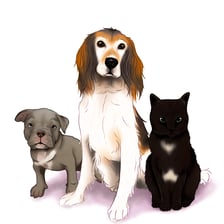 the.royal_paws