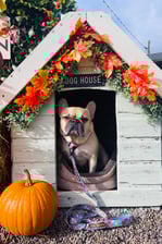 george_frank_n_eric_frenchies