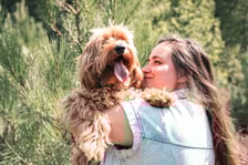 The_adventures_of_doodle_seb