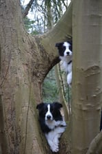 jackfrommagictwinkle