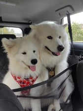 cloudsonadventure