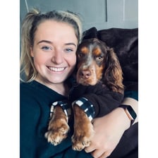 Rolo_whitewing_the_cocker