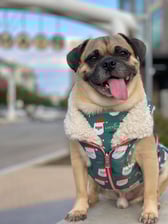 rumithewhirlingpuggle