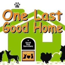 OneLastGoodHome