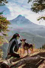 Bentley_the_cattledogmix