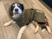 aiden_theonesearchedfor