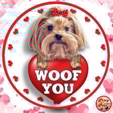 harley_yorkie_quinn___