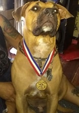 desertdogs754