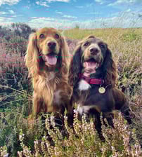 buckyboo_peggytoo_wcs