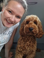 willows_cockapoo_adventures