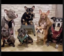 BennyBlanco_andfriends