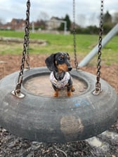 Adventures_with_mrtaco