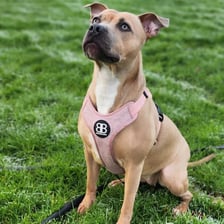 precious_love_photography