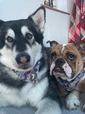 The_journey_of_Hunter_and_Ivy