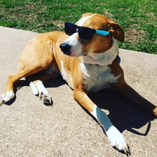 Winstonandfamily