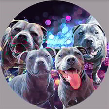 reggie_ronnie_blu_and_harley