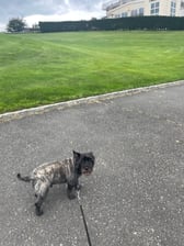 pawsandclawsli